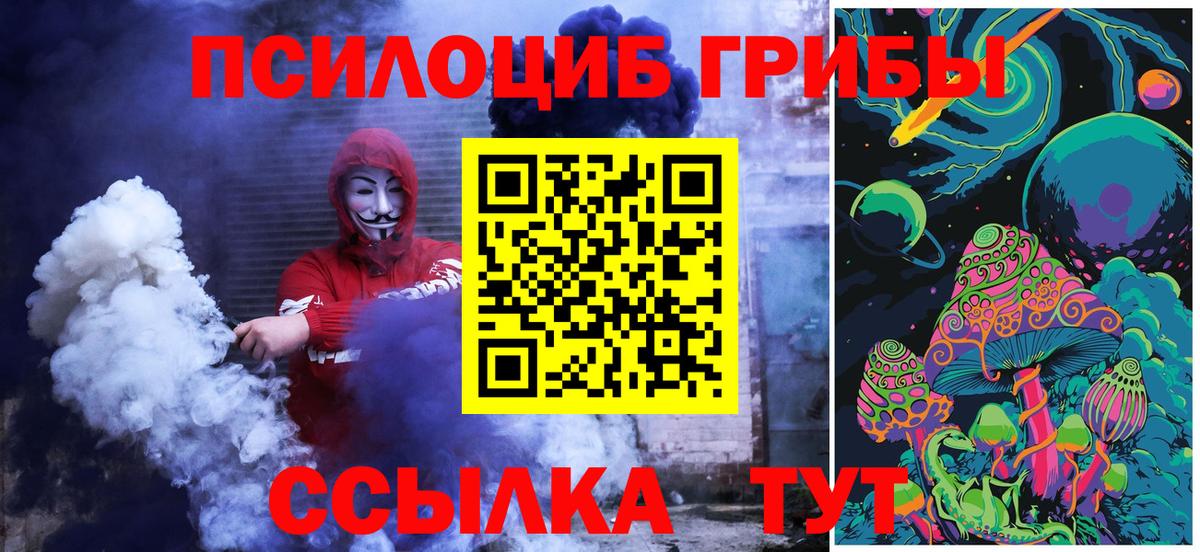 Галлюциногенные грибы Psilocybe  Вход с VPN  купить   Южноуральск  Галлюциногенные грибы мицелий 